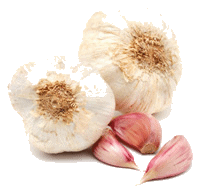 How much Minced Garlic is in a Clove? - Produce Converter