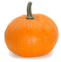 How much is in a Pound of Pumpkin?