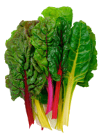 Pound of Swiss Chard thumbnail image